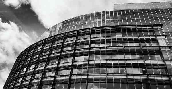 外国语单招大数据的行业文章