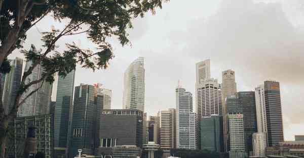 小白智能机器人智能屏开箱