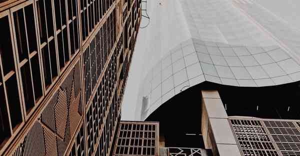 外国语单招大数据的行业文章