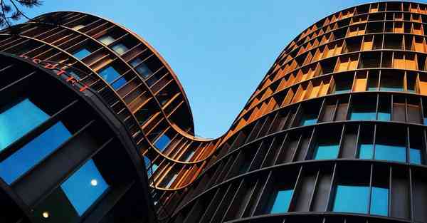 外国语单招大数据的行业文章