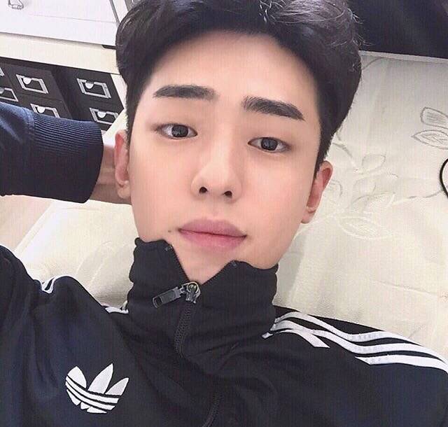 龙骅珍彬