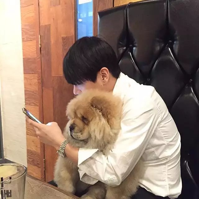 董广波蓓