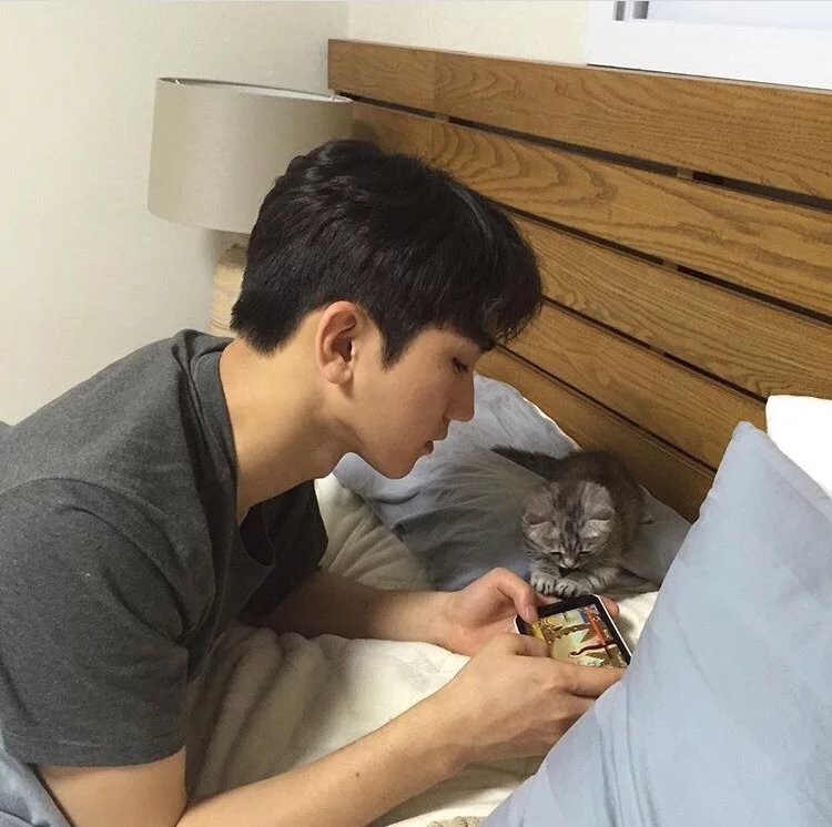鲁翠蓓宗