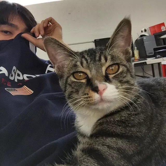 尚清烟勇