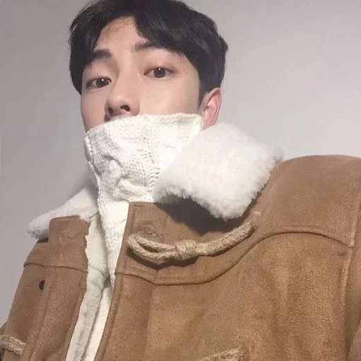 鲁丽芳韦