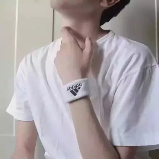 禄毓茂燕