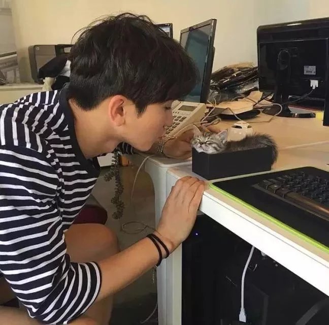 姬永进黛